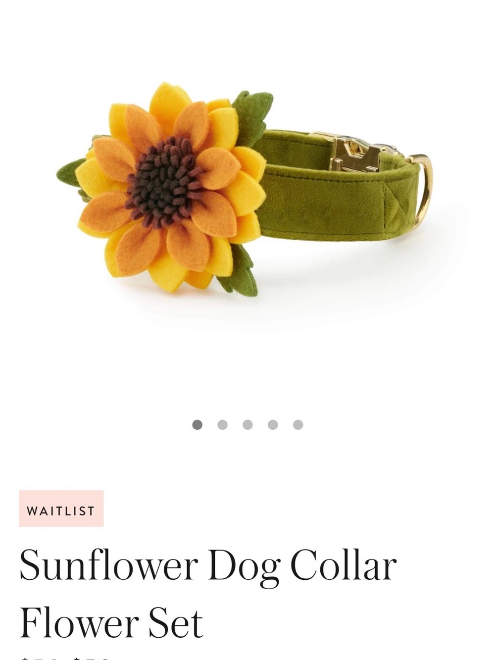 Sunflower Dog Collar Flower Set - Olive Green